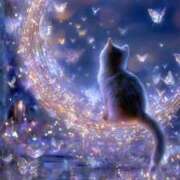 ヒメ日記 2025/11/15 21:10 投稿 べてい アイムシェイク