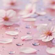 ヒメ日記 2026/03/25 19:23 投稿 べてい アイムシェイク