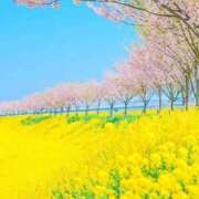 ヒメ日記 2026/06/12 00:53 投稿 べてい アイムシェイク