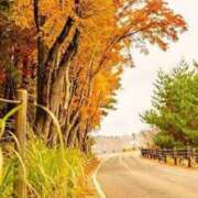 ヒメ日記 2025/10/20 12:35 投稿 しおん アイムシェイク