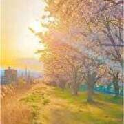 ヒメ日記 2026/03/22 23:33 投稿 しおん アイムシェイク