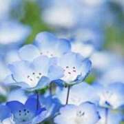 ヒメ日記 2025/10/15 17:10 投稿 ちゃこ アイムシェイク