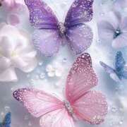 ヒメ日記 2025/11/28 21:35 投稿 ちゃこ アイムシェイク