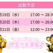 ヒメ日記 2025/11/17 21:02 投稿 はな スピードエコ天王寺店