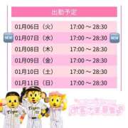 ヒメ日記 2026/01/07 07:10 投稿 はな スピードエコ天王寺店