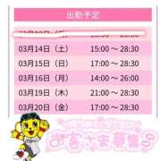 ヒメ日記 2026/03/09 02:00 投稿 はな スピードエコ天王寺店