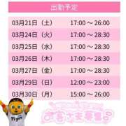 ヒメ日記 2026/03/21 13:30 投稿 はな スピードエコ天王寺店