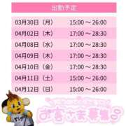 ヒメ日記 2026/03/30 12:20 投稿 はな スピードエコ天王寺店