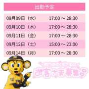 ヒメ日記 2026/09/05 10:38 投稿 はな スピードエコ天王寺店