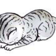 ヒメ日記 2025/06/20 17:48 投稿 しゅり 京都回春性感マッサージ倶楽部