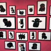 ヒメ日記 2026/01/27 22:18 投稿 しゅり 京都回春性感マッサージ倶楽部