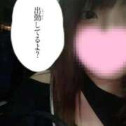 ヒメ日記 2026/04/23 20:29 投稿 しゅり 京都回春性感マッサージ倶楽部