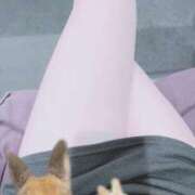 ヒメ日記 2025/02/01 06:30 投稿 矢島　しおん OLセレクション宇都宮店