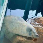 ヒメ日記 2025/09/02 08:42 投稿 萌咲　もえか リラクゼーションサロン　le Cocon～ルココン～