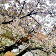 ヒメ日記 2026/04/08 09:27 投稿 萌咲　もえか リラクゼーションサロン　le Cocon～ルココン～