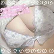 ヒメ日記 2024/12/19 16:09 投稿 まな 鶯谷スピン