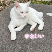 ヒメ日記 2025/06/10 12:19 投稿 まな 鶯谷スピン