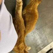 ヒメ日記 2025/11/14 16:59 投稿 まな 鶯谷スピン