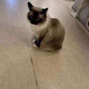 ヒメ日記 2025/12/18 15:11 投稿 まな 鶯谷スピン