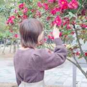 ヒメ日記 2025/02/13 16:30 投稿 ゆみ☆ CLUB PIAA