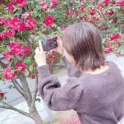 ヒメ日記 2025/04/13 18:53 投稿 ゆみ☆ CLUB PIAA