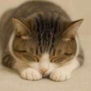 ヒメ日記 2025/11/13 14:44 投稿 ゆみ☆ CLUB PIAA