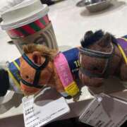 ゆみ☆ 着いた〜🩵 CLUB PIAA