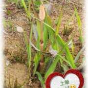 ヒメ日記 2025/04/12 22:01 投稿 あやの 熟女の風俗最終章 蒲田店