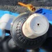 ヒメ日記 2025/06/19 21:08 投稿 あやの 熟女の風俗最終章 蒲田店