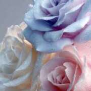 ヒメ日記 2025/10/25 16:34 投稿 清笆 ルーブル