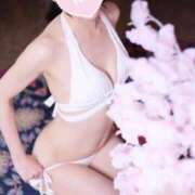 ヒメ日記 2025/11/11 18:54 投稿 清笆 ルーブル