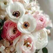 ヒメ日記 2026/01/13 18:44 投稿 清笆 ルーブル