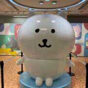 ヒメ日記 2025/07/23 09:20 投稿 かや 錦糸町おかあさん