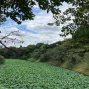 ヒメ日記 2025/08/26 16:20 投稿 かや 錦糸町おかあさん
