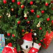 ヒメ日記 2025/12/26 08:24 投稿 かや 錦糸町おかあさん