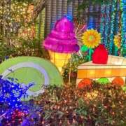 ヒメ日記 2026/01/01 22:00 投稿 かや 錦糸町おかあさん