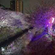 ヒメ日記 2026/03/30 22:00 投稿 かや 錦糸町おかあさん