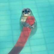 みる あれ？ One More 奥様 鶯谷店