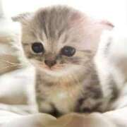 みる 残り一枠 One More 奥様 鶯谷店