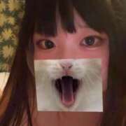 ヒメ日記 2024/12/14 13:03 投稿 きらら One More 奥様 鶯谷店