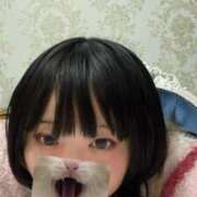 ヒメ日記 2024/12/28 09:56 投稿 きらら One More 奥様 鶯谷店