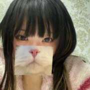 ヒメ日記 2025/01/05 13:04 投稿 きらら One More 奥様 鶯谷店