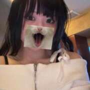 ヒメ日記 2025/01/12 12:05 投稿 きらら One More 奥様 鶯谷店