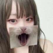 ヒメ日記 2025/02/02 10:05 投稿 きらら One More 奥様 鶯谷店