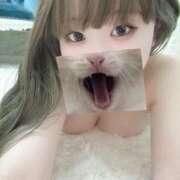 ヒメ日記 2025/02/06 15:10 投稿 きらら One More 奥様 鶯谷店