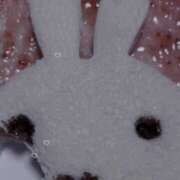 ヒメ日記 2025/04/04 23:45 投稿 きらら One More 奥様 鶯谷店