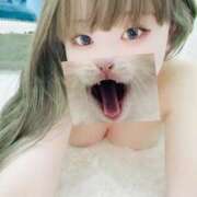 ヒメ日記 2025/04/28 20:05 投稿 きらら One More 奥様 鶯谷店