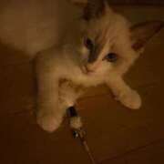 ヒメ日記 2025/09/04 22:15 投稿 きらら One More 奥様 鶯谷店