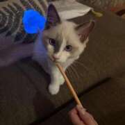 ヒメ日記 2025/09/19 01:15 投稿 きらら One More 奥様 鶯谷店