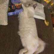 ヒメ日記 2025/10/22 22:27 投稿 きらら One More 奥様 鶯谷店